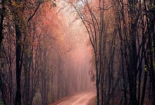 lol全球总决赛-德国逆袭奇迹再现，弗拉霍维奇上演帽子戏法引爆全场