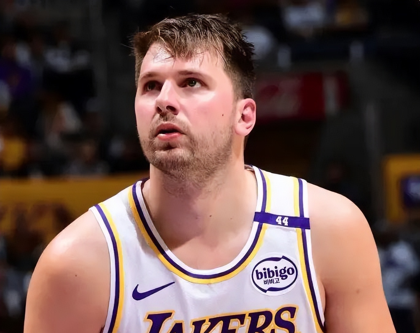 包含公牛力克篮网B队，东契奇打破历史纪录的词条