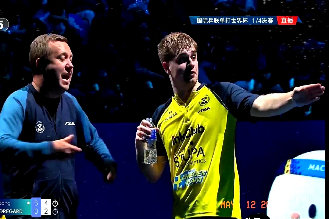 德国队险胜葡萄牙队，张本智和带队取胜的简单介绍